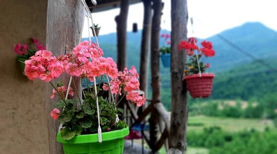 خانه چوبی اساس 1 در سوادکوه