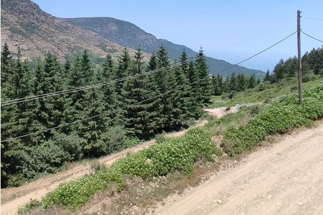 سوئیت مریم در مجتمع اقامتی بام جواهرده