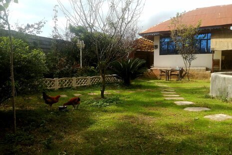 ویلا تکخواب آرسام در رشت