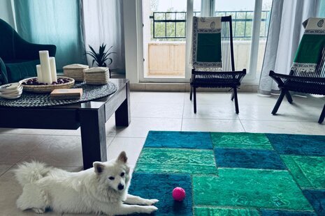 آپارتمان مبله دو خواب دوبلکس بوهو VIP شهرک صدف