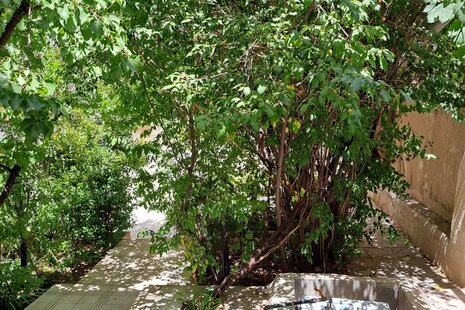 آپارتمان مبله تک خواب سرای مادر در خوانسار