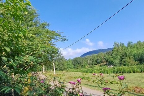 سوئیت ویلا مبله در رشت