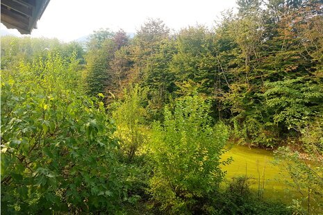 باغ ویلا (کوه) تک خواب مبله در رشت