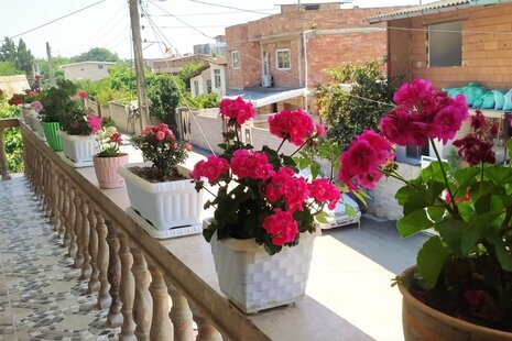 واحد دوخواب لاکچری یونا در ویلا ساری
