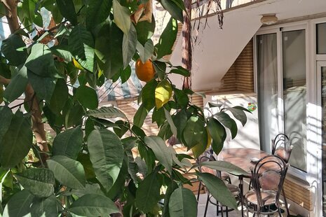 آپارتمان تک خواب نیکنام در اصفهان