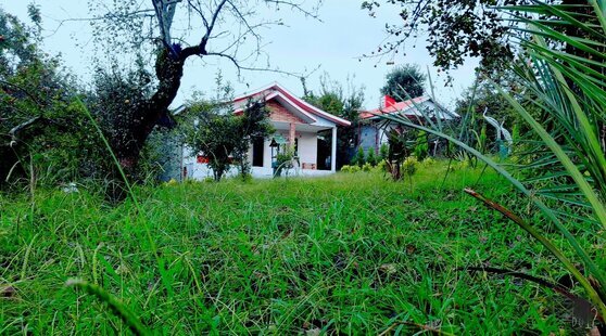 ویلا 2 خواب زیربام سبز شاندرمن