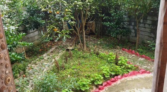 ویلا مهر دوخواب در لنگرود