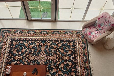 کلبه سوئیسی دوخواب مبله سیکاج در ماسال