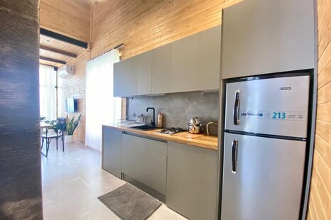 کلبه سوئیسی جکوزی دار دوخواب تی ته 2 در چالوس