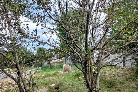 ویلا تکخواب ماه گل در آمل