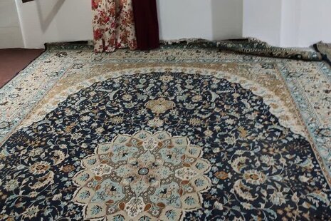 واحد مبله تک خواب جنگلی در سوادکوه