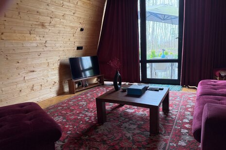 کلبه سوئیسی تکخواب مبله میجان 2 در رشت