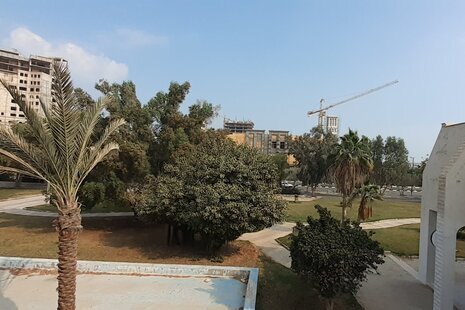 آپارتمان مبله تکخواب 5 نخل زرین در قشم