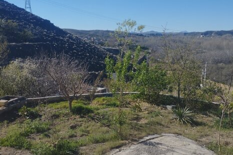 آپارتمان تکخواب مبله سپهر و سهیل در باغ بهادران