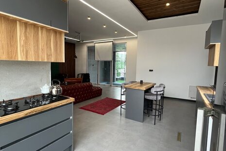 ویلا مبله دوبلکس استخردار دو خواب در رودهن