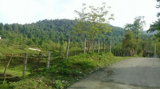 ویلای توریست در ماسال