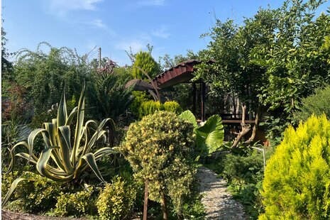 سوئیت ویلا لاکچری در چالوس