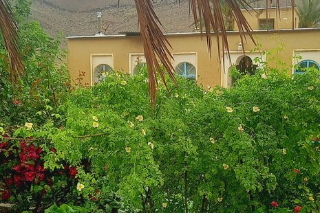 اتاق مهتاب در بومگردی در جهرم