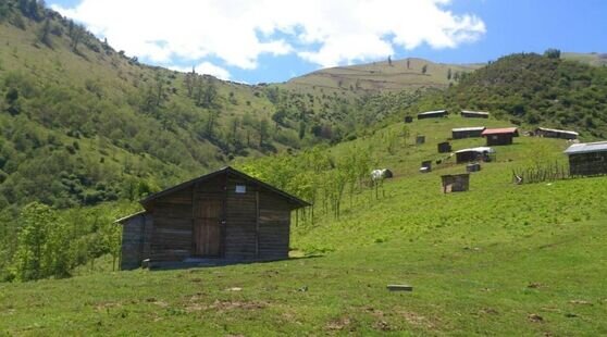 کلبه چوبی اولسبلنگاه