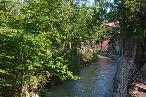 واحد دوخواب جنگلی در طبقه همکف ویلا در اسالم