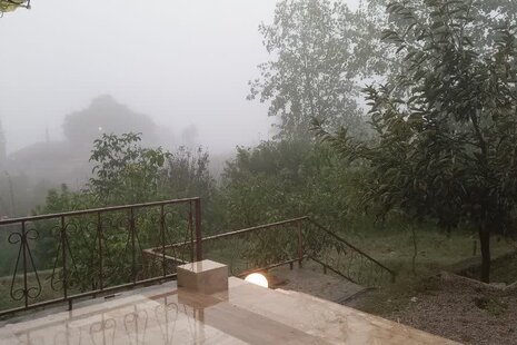 ویلا جنگلی ارام تکخواب در زیرآب