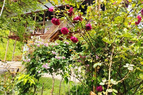 خانه ویلایی در فوشه قلعه رودخان