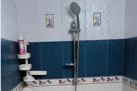 آپارتمان مبله دو خواب در شیراز