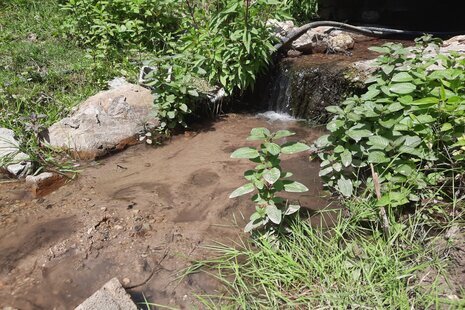 واحد تکخواب تراس دار در طبقه اول ویلای آمل