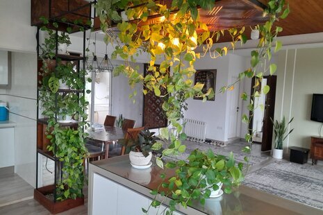 واحد 2 خواب تی ته در طبقه اول ویلا چالوس