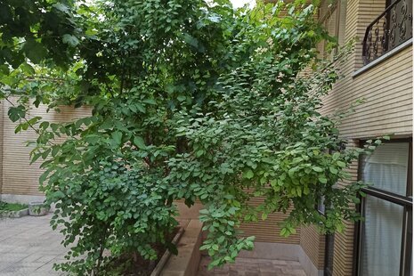 آپارتمان مبله 2 خوابه در اصفهان