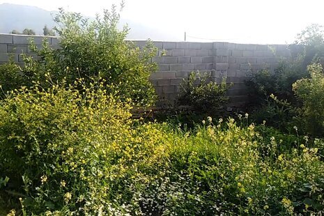 ویلا دوخواب در اندیکا