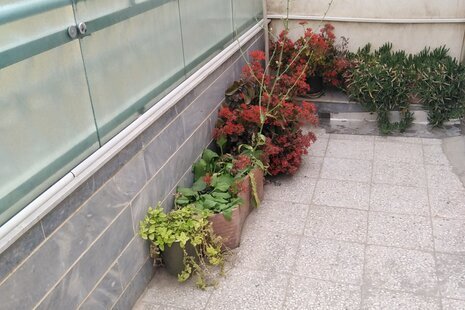 سوئیت غدیر در اصفهان