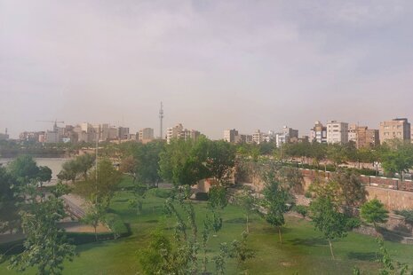 آپارتمان مبله تکخواب معصوم در مشهد