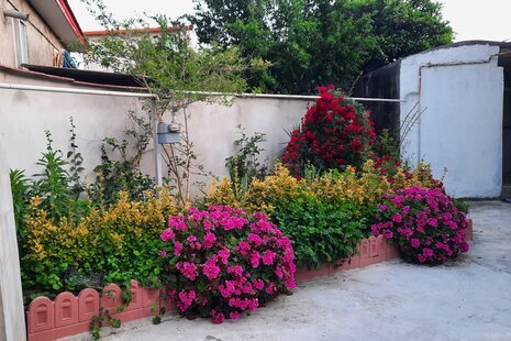 ویلا مبله تکخواب در محمود آباد