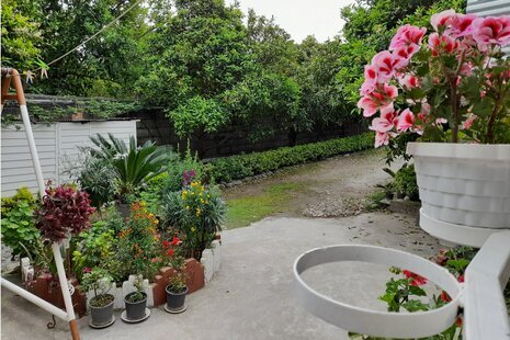 واحد تک خواب مبله در باغ ویلا در چالوس