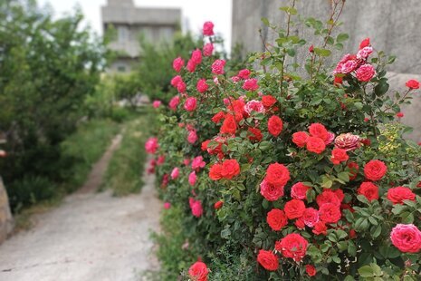 ویلا دو خوابه در مشگین