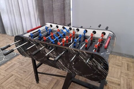 باغ ویلا دوخواب شاتوت در دزفول