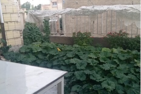 سوئیت 40 متری در تبریز