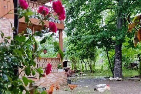 ویلا دو طبقه چوبی خاطره وشمه سرا در ماسال