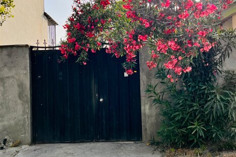 ویلا ساحلی دو خواب حیاط دار در نور