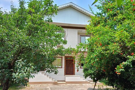 واحد تک خواب در جاده ماسوله