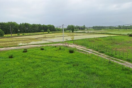 اتاق رایکا در اقامتگاه بومگردی فومن