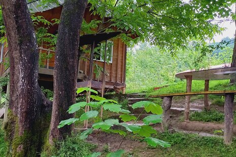 کلبه جنگلی 2 شیروان در ماسال