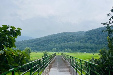 ویلا تکخواب شالیزار در سوادکوه