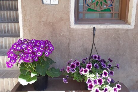 اتاق 2 تخته طبقه همکف 2 در اقامتگاه بومگردی اصفهان