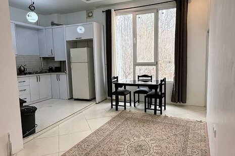 آپارتمان مبله دوخواب جکوزی دار جنگلی السای در طرقبه