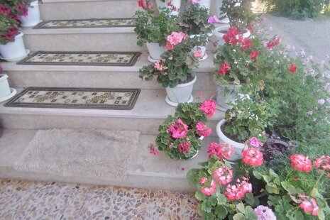 ویلا مبله دوخواب در تالش