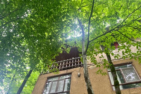 واحد مبله تکخواب طبقه همکف جنگلی سیاه مزگی در شفت