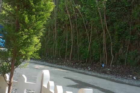 واحد دوخواب جنگلی در طبقه همکف ویلا در اسالم