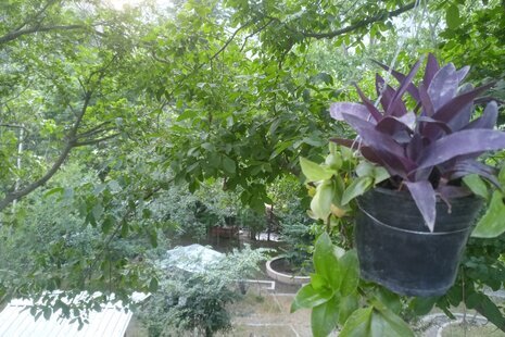 آپارتمان مبله تکخواب 2 در سوادکوه